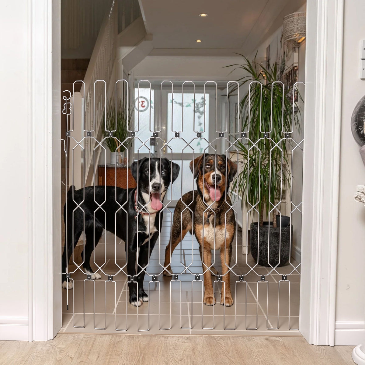 Dog Safety Gate Plus – Extra Strong, No-Drill Pet Gate for Stairways,
