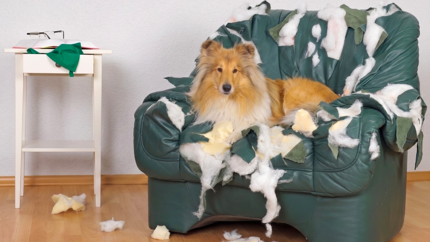 image comparison before